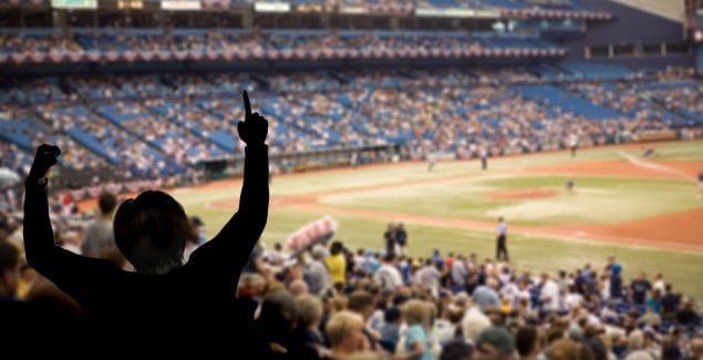 Fan celebrating a team victory at a baseball game.