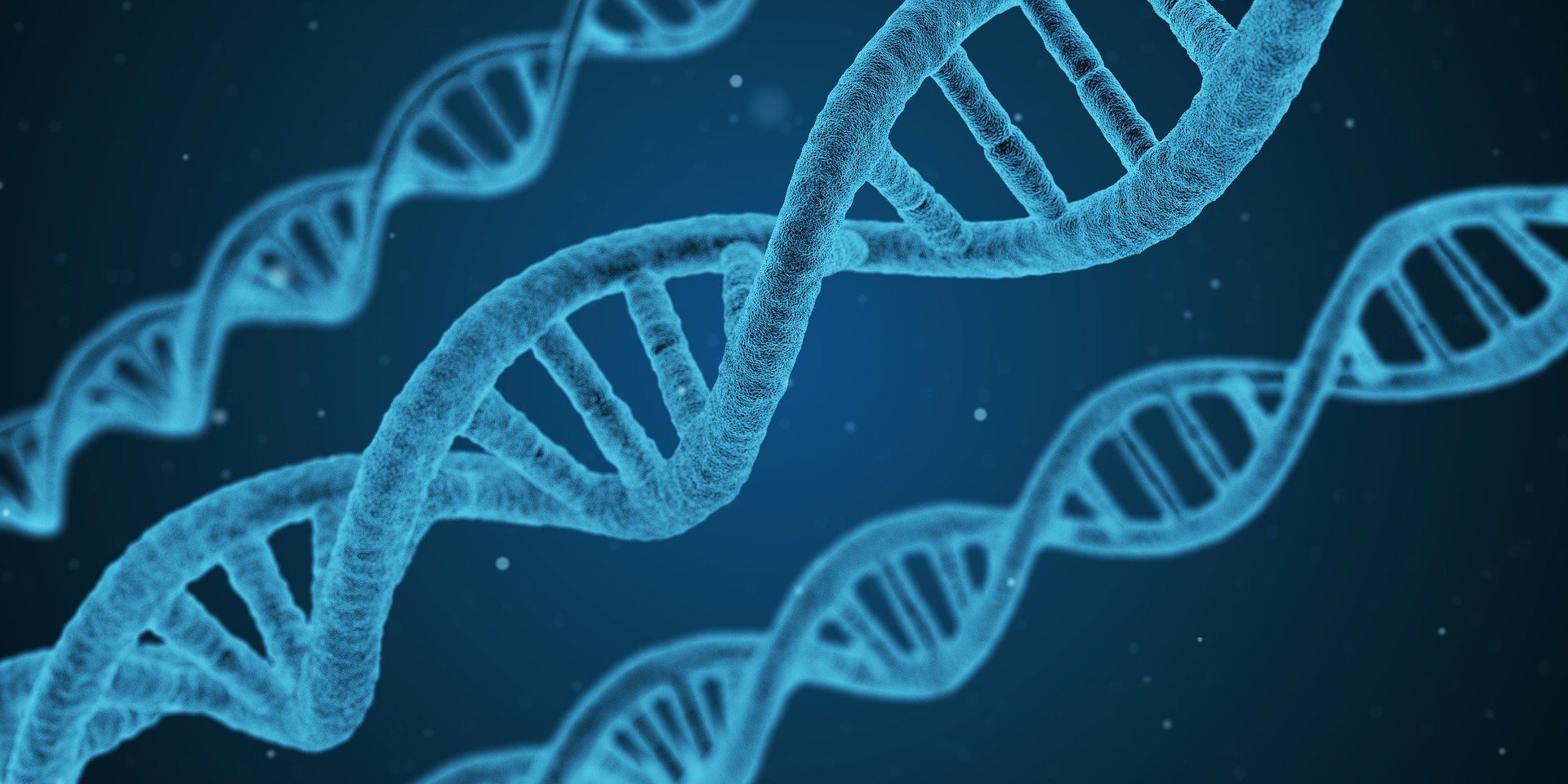 Nature vs. Nurture - DNA with a blue background